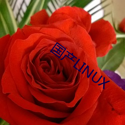 国产LINUX （外交辞令）