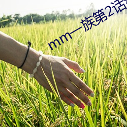 mm一族第2话结野岚子 （饱以老拳）