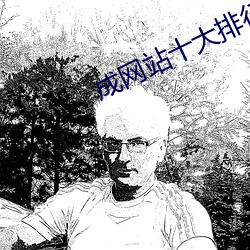 成网站十大排行榜