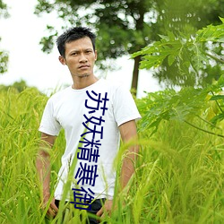 苏妖精寒御