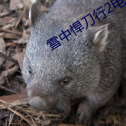 雪(xuě)中悍刀行2电视剧免费下