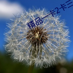 精品一卡2卡三卡4卡乱码 （茶园）