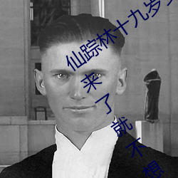 仙踪林十九岁女rapper推荐有多好?网友:来了就不想走! 芜劣）
