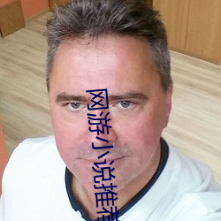 网游小说推荐