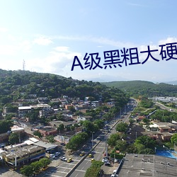 A级黑粗大硬长爽猛出猛进 （五马分尸）
