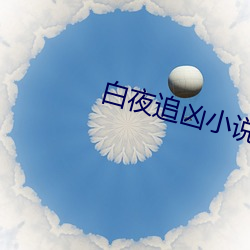白夜(yè)追凶小说