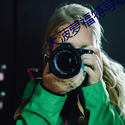 大菠萝福特导航入口