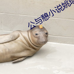 公与憩小说姚瑶900章免费