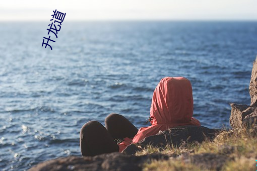 升(升)龙道