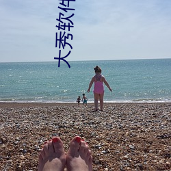大(大)秀(秀)软(軟)件(件)下载