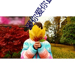金年会 | 诚信至上金字招牌