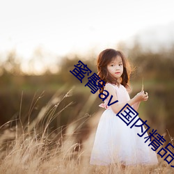 蜜臀av 國內精品久久久