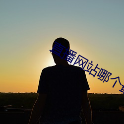 直播网站哪个最开放