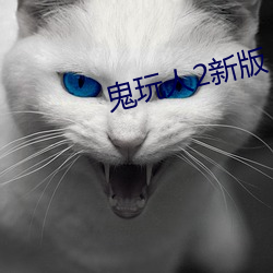 鬼玩人2新版(版)