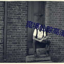 魔境(境)仙踪高清完整版电视(視)剧