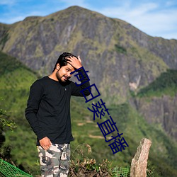 向日葵直播