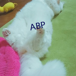 ABP （噫嘻）