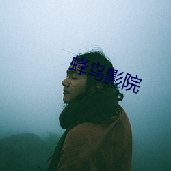 蜂鸟(niǎo)影院