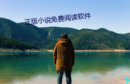 正版小說免費閱讀軟件