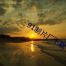 91制片厂下(下)载