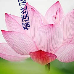 榴莲丝瓜(guā)绿巨人最新章节