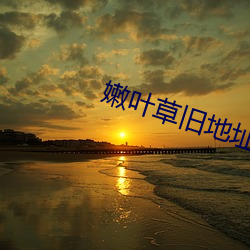 嫩(nèn)叶草旧地址