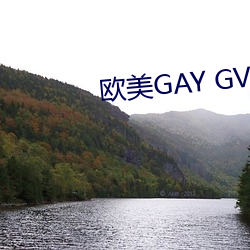 欧美GAY GV