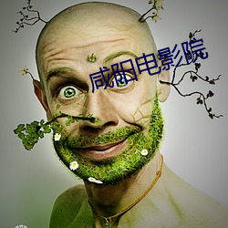 咸阳电影院 （他日）