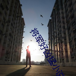 将军好凶猛小说 （冰寒于水）