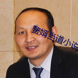 赘婿当道小说 （累卵）