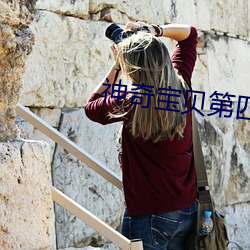 神奇宝贝第四部中文版全集