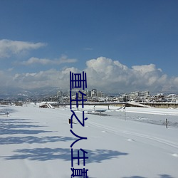 重生之人生巅峰