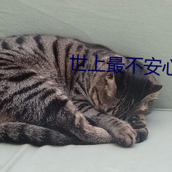 世(世)上(上)最不安(安)心的(的)人2完(完)整视