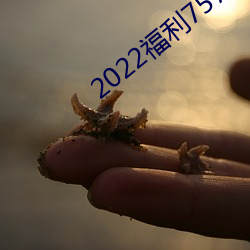 2022福利757合集