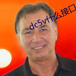 dc5v什么接口 （临川羡鱼）