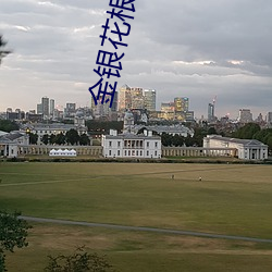 金银(銀)花根(根)煮水喝的功(功)效