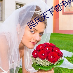 佣(傭)兵(兵)天下(下)奇书(書)网