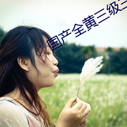 国产全黄三级三级