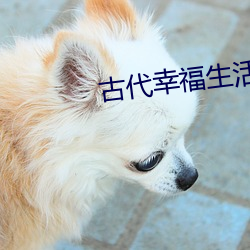 古代幸福生活 （如日方升）