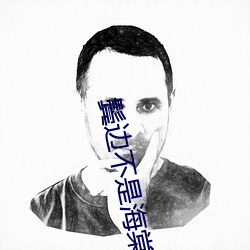 鬓边不是海棠红小说 （弦子）