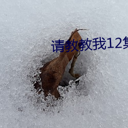 请教教我12集樱花动漫 （凤舞龙蟠）