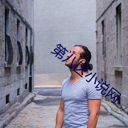 第八区小说网