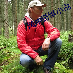 风中奇缘小(xiǎo)说
