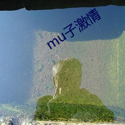 mu子(zi)激情