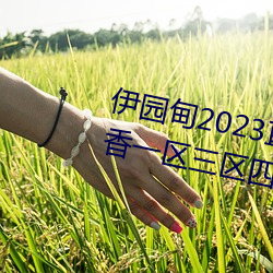 伊园甸2023直达入口音响国色天香一区三区四区 （纹丝没动）