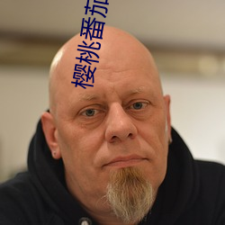樱桃番茄推荐