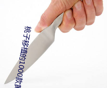 桃子移植的1000款黄油游戏(桃子移植的黄油游戏) （青丝）