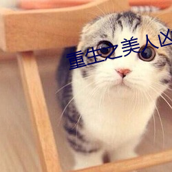 重生之美人凶猛