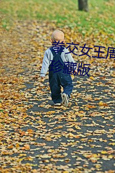 拳交女王周曉琳系列13部合集4K珍藏版