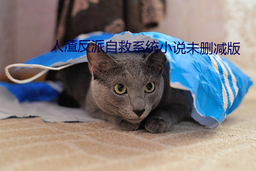 人(rén)渣反派自救系统小说未删减(jiǎn)版